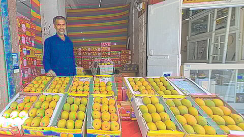 Mango Market