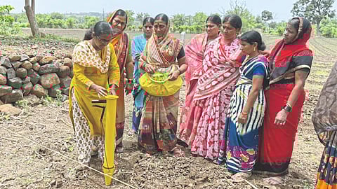 Agriculture And Rural Develpoment