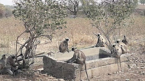 Water Shortage