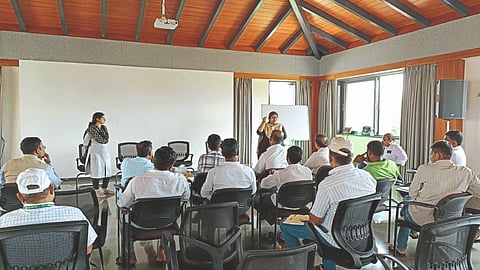 Life Education Activities