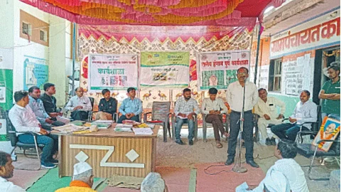 Cotton Crop Guidance