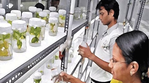 Agriculture Technology