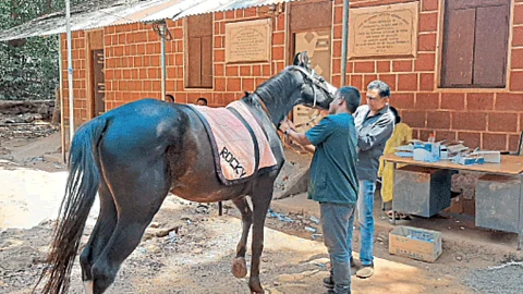 Matheran Horse Riding