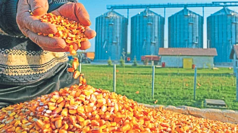 Food Processing