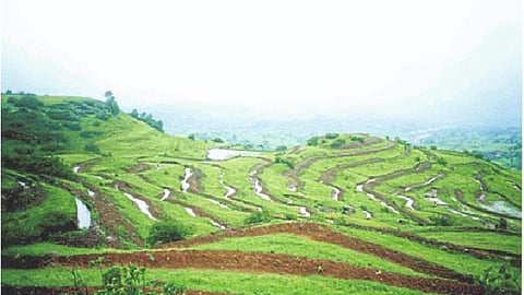 Water Management