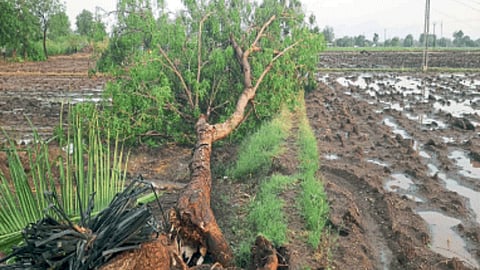 Rain Update In Nashik