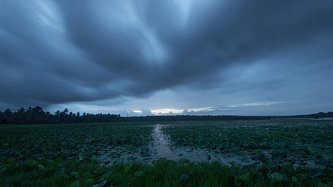 Monsoon Update