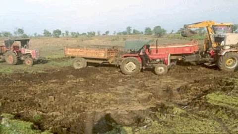 Irrigation Management