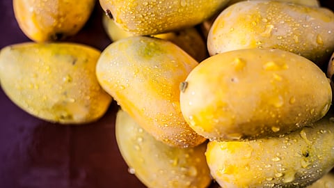 Kesar Mango