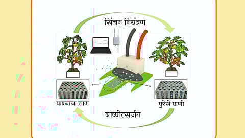 Irrigation Management