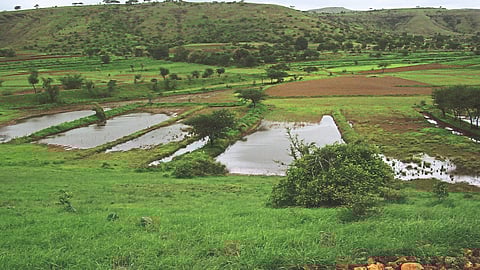 Rural Development Update