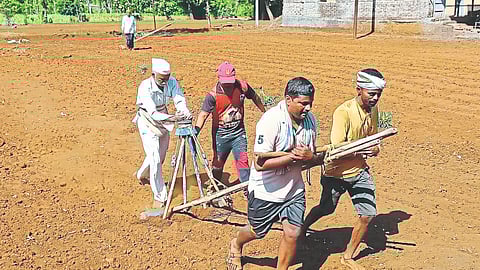 Rice Sowing
