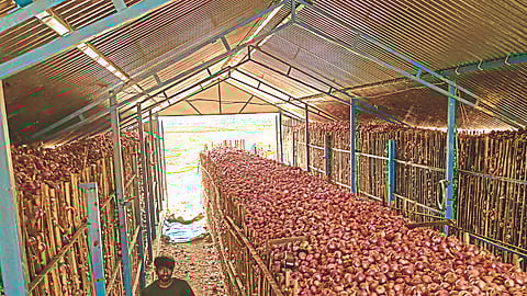 Onion Market