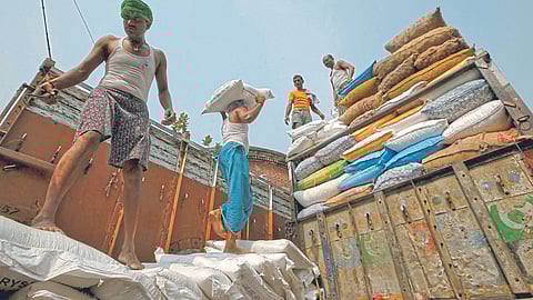 Food Grain Market