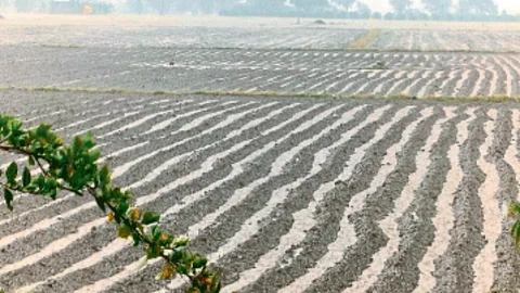 Crop Damage In Satana