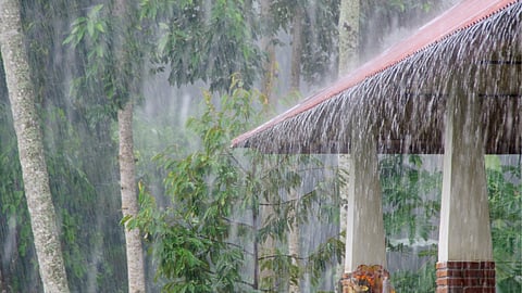 Konkan Rain