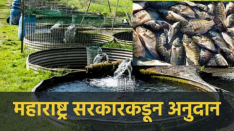 Biofloc Fish Farming