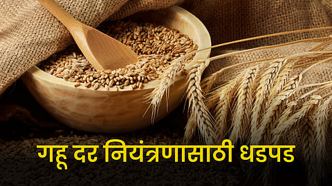 Wheat Rate
