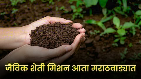 Organic Farming