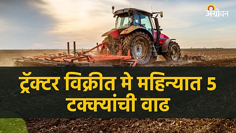 Tractor Market Sell