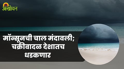 Monsoon Update 2023
