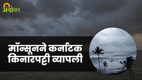 Monsoon Update