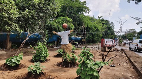 Land acquisition