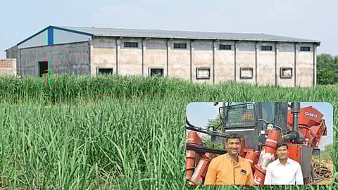 Agriculture Warehouse