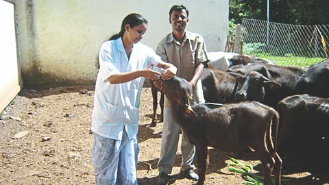 Veterinary Medicine College