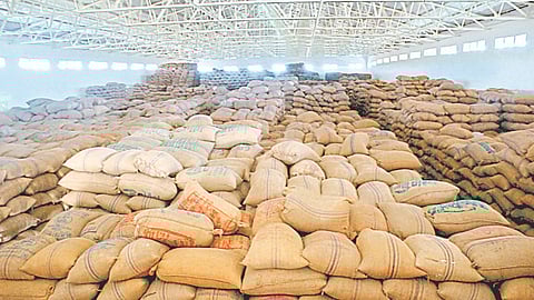 Agriculture Warehouse