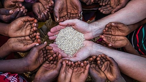 Food security