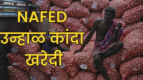 Onion Market