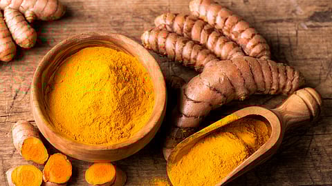 Turmeric Processing