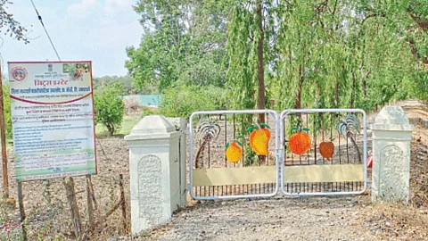 Citrus Estate