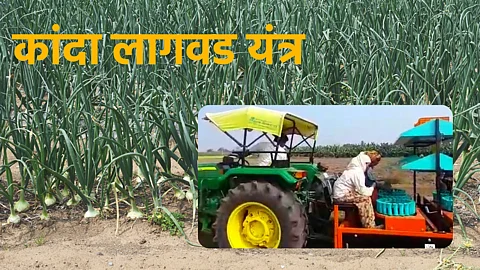 Onion Sowing Technology