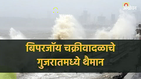 Biporjoy Cyclone Gujrat Update