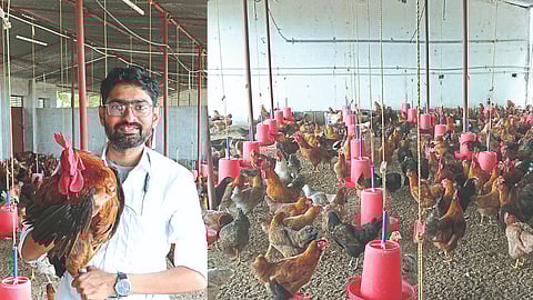Poultry Business