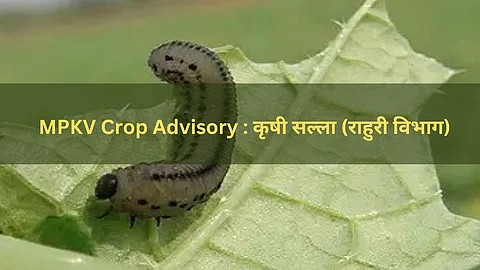 Agriculture Tips