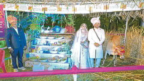 Wedding Update : लग्नातील अनोख्या आहेरातून नाशिकमध्ये कृषिसंस्कृतीचे दर्शन