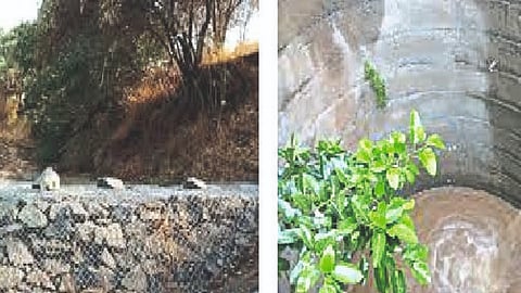 Soil Conservation Update