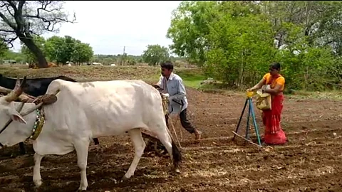 Agriculture