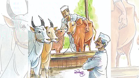 Rural Culture