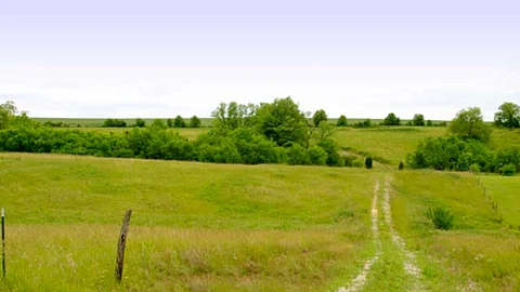 Rural Road