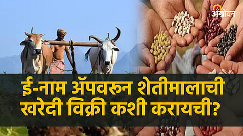 National Agriculture Market