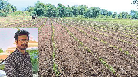 Tur Production