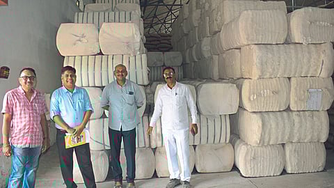 Cotton