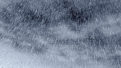 Rain