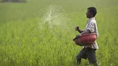 Kolhapur Crop Insurance News