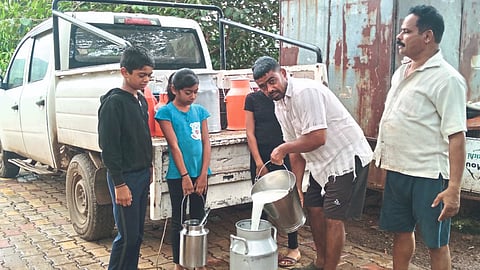 Dairy Farming