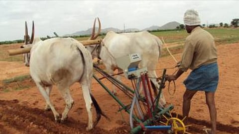 Kolhapur Sowing Update